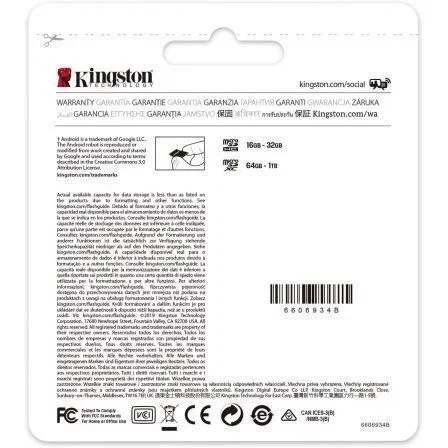 Kingston Canvas Select Plus 32 GB microSDHC con Adaptador SD Kingston Canvas Select Plus 32 GB microSDHC con Adaptador SD